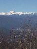 DSCF4619_l.jpg