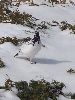 DSCF6103_l.jpg