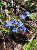 P8060020_l.jpg