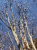 DSCF7971_l.jpg
