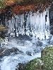 DSCF8148_l.jpg