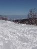 DSCF8549_l.jpg