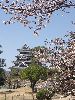 DSCF9177_l.jpg