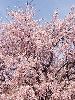 DSCF9261_l.jpg