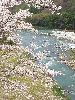 DSCF9300_l.jpg