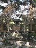 DSCF1002_l.jpg