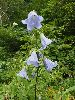 P9110099_l.jpg