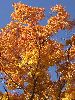 DSCF1799_l.JPG