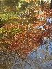 DSCF1823_l.JPG