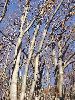 DSCF2066_l.JPG