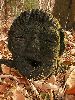 PC160029_l.JPG