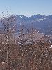 DSCF4341_l.JPG