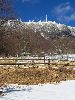 IMG_0110_l.JPG