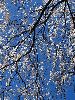 IMG_0057_l.JPG