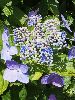 P6300014_l.JPG