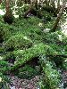 IMG_0213_l.JPG