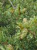 P7140185_l.JPG