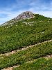 IMG_0065_l.JPG