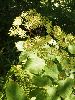 P8260105_l.JPG