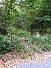 IMG_0002_l.JPG