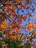 IMG_0286_l.JPG