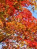 IMG_0055_l.JPG