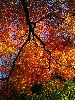 IMG_0100_l.JPG