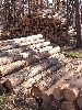 DSCF4626_l.JPG