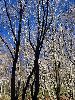 IMG_0023_l.JPG