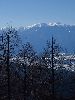 IMG_0077_l.JPG