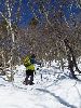 IMG_0016_l.JPG