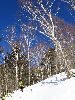 IMG_0023_l.JPG
