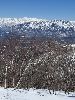 IMG_0041_l.JPG