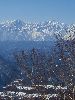 IMG_0070_l.JPG