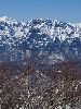 IMG_0073_l.JPG
