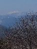 IMG_0025_l.JPG