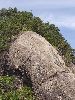 DSCF4787_l.JPG