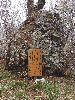 DSCF4828_l.JPG