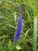 P8240155_l.JPG