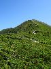IMG_0008_l.JPG