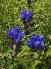 P9160054_l.JPG