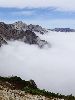 DSC00007_l.JPG