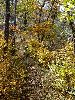 DSC0056_l.JPG