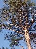 DSCF6037_l.JPG