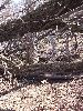 DSCF6038_l.JPG
