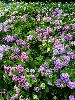 DSC00006_l.JPG