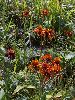 P7190036_l.JPG