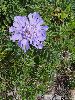 P8010224_l.JPG