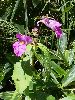 P9050101_l.JPG