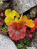 P9210040_l.JPG